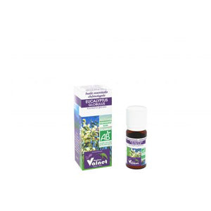 He Eucalyptus Globulus 10ml