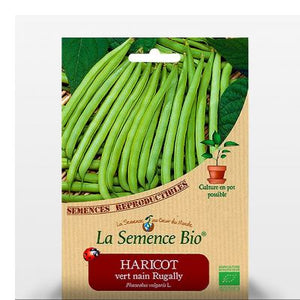 Haricot Vert Nain Rugally Semis